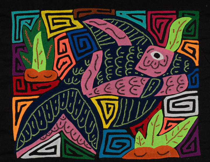 Bottlenose Dolphin with Coral Plants Mola