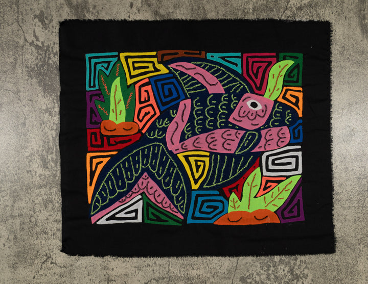 Bottlenose Dolphin with Coral Plants Mola