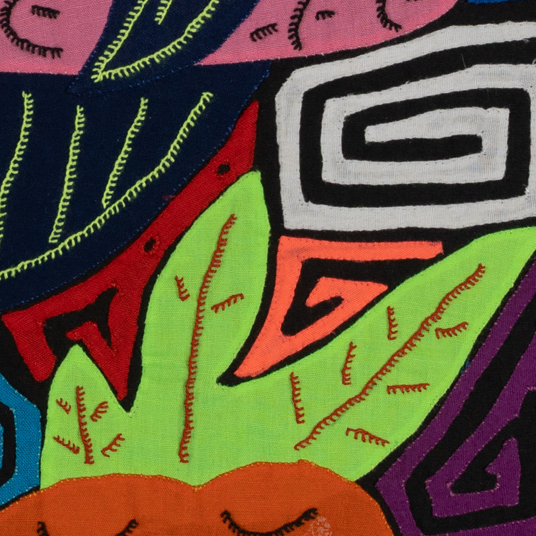 Bottlenose Dolphin with Coral Plants Mola