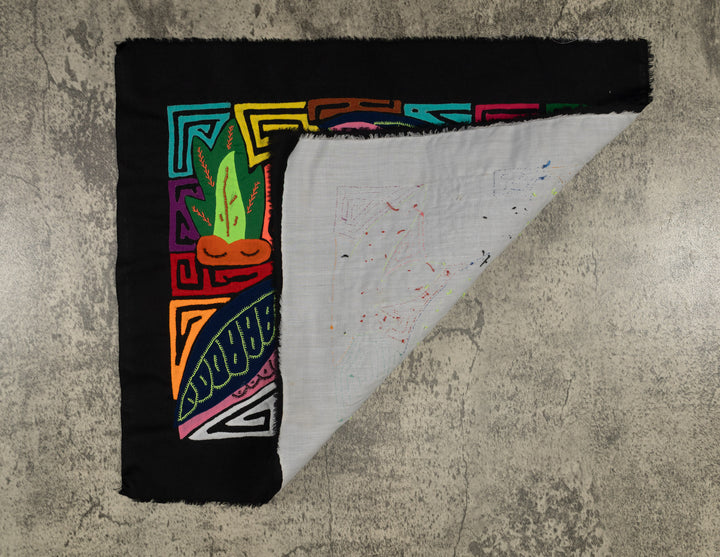 Bottlenose Dolphin with Coral Plants Mola