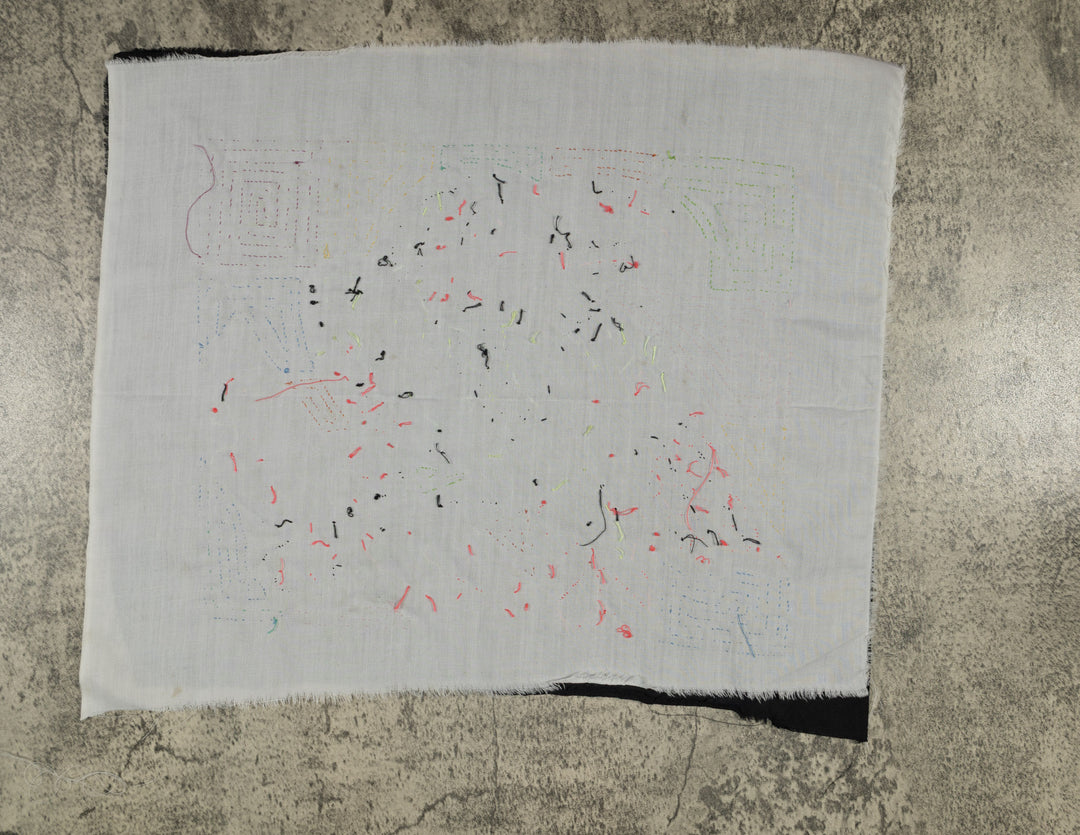 Pink Keel-billed Toucan Mola