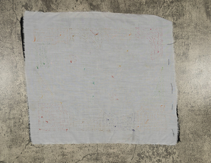 Orange And Blue Tropical Parrot Pair Mola