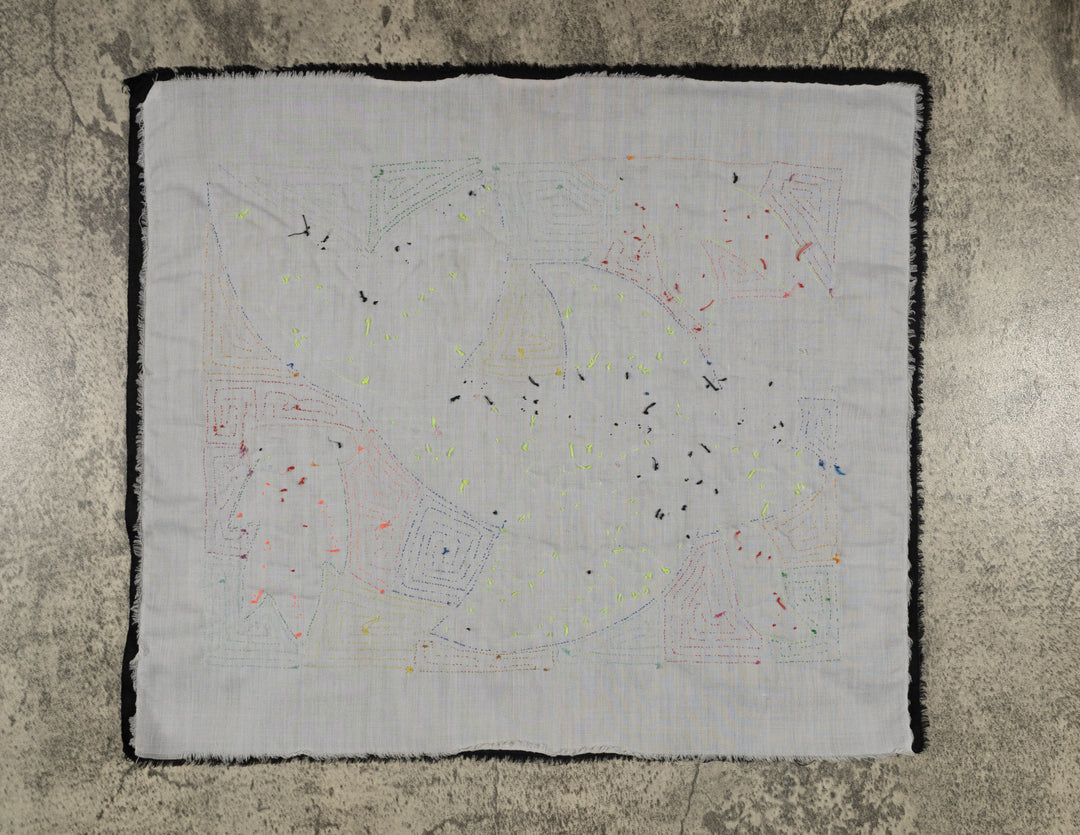 Bottlenose Dolphin with Coral Plants Mola