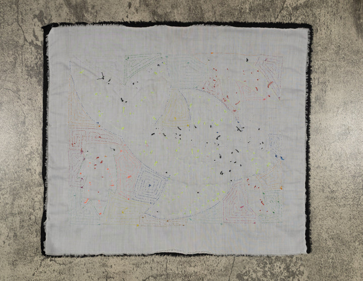 Bottlenose Dolphin with Coral Plants Mola