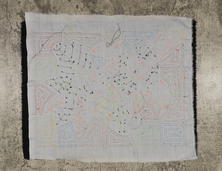 Fantasy Blue Orange Parrot Mola