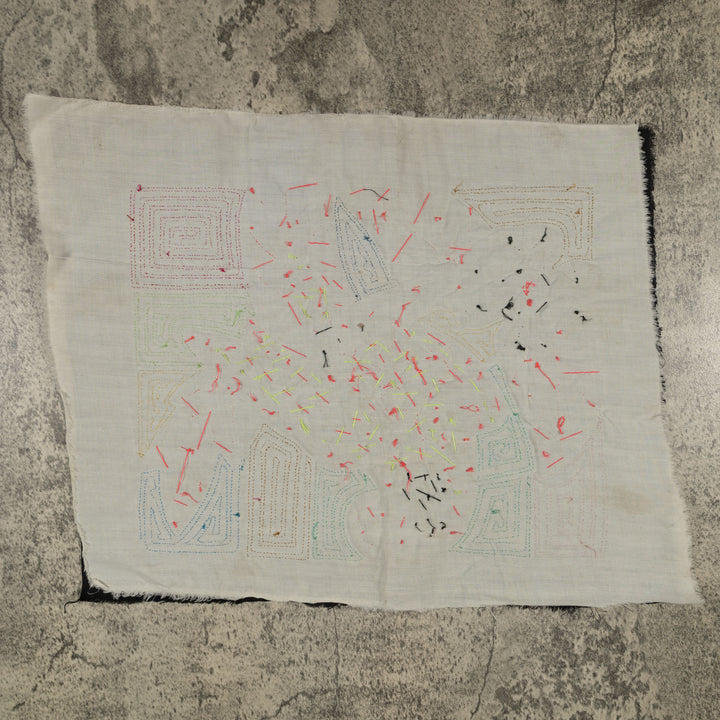 Fantasy Pink And Brown Parrot Bird Mola