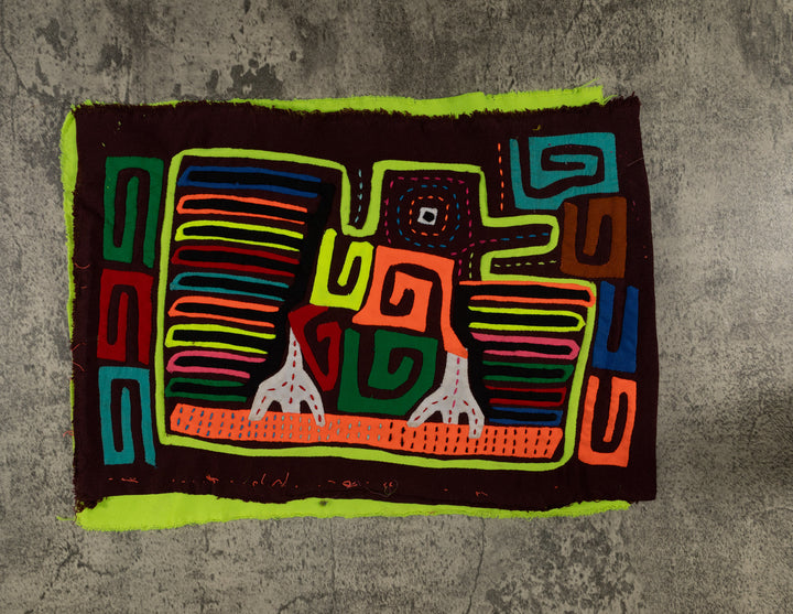 Classic Rainbow Colors Fancy Rainforest Bird Mola