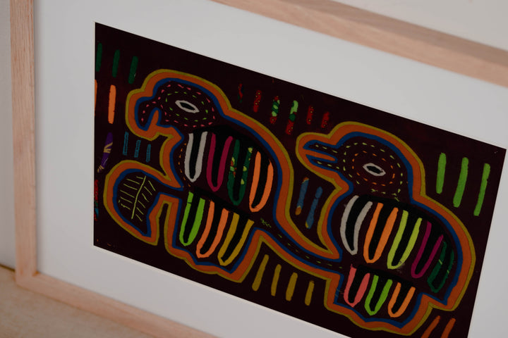 Classic Rainbow Buzzard Talk Mola