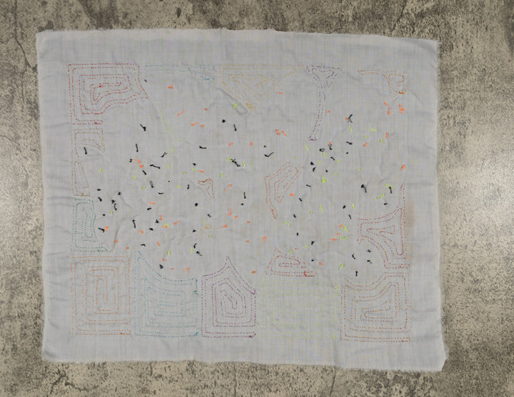 Fantasy Pink Yellow Blue And Orange Two Parrot Mola