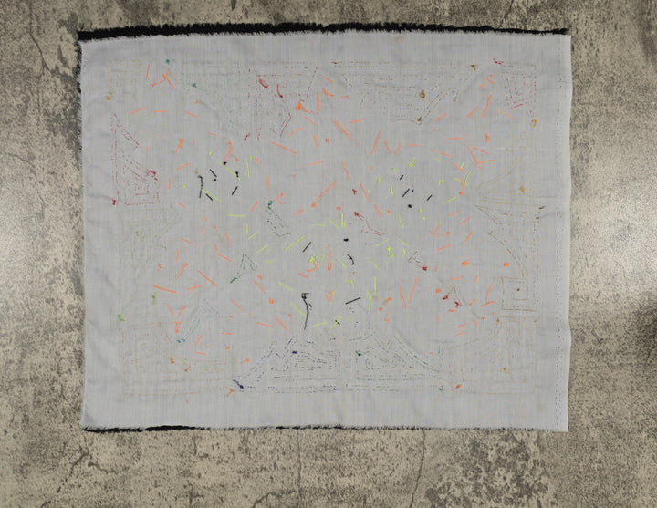 Colorful Blossoms and Leafy Background Mola