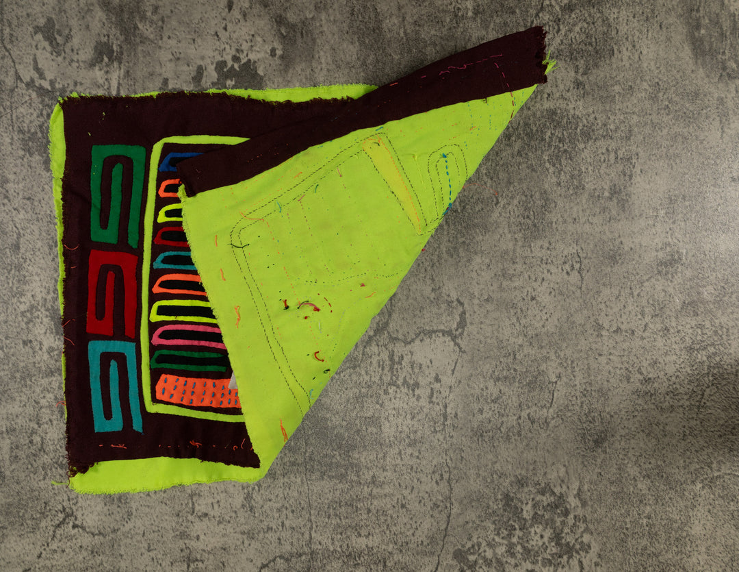 Classic Rainbow Colors Fancy Rainforest Bird Mola