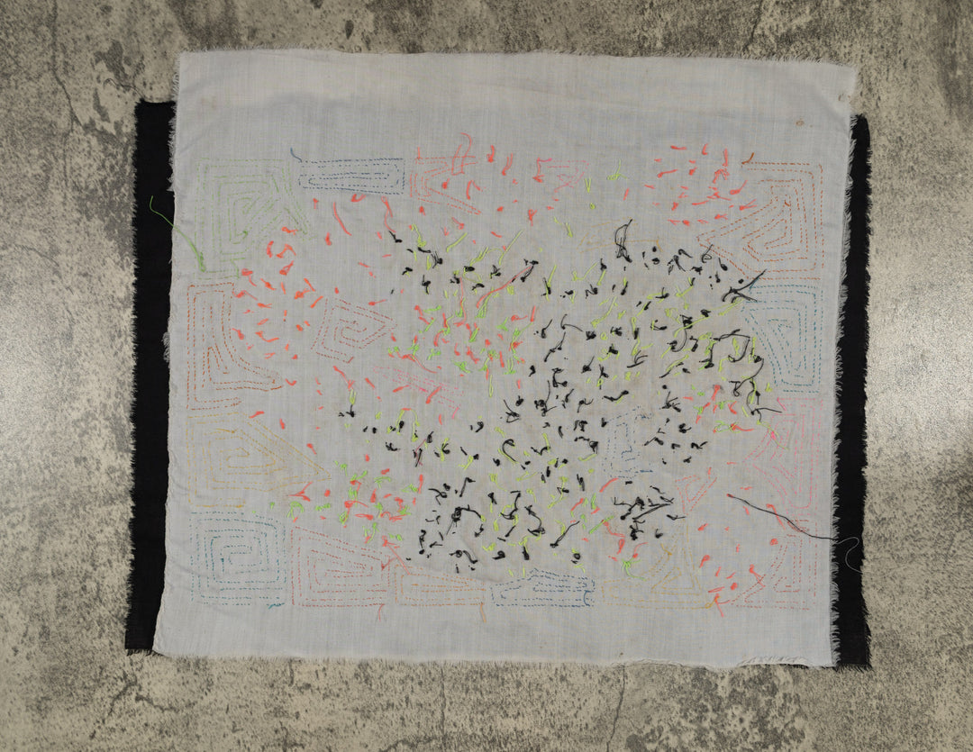 Tropical Macaws with Blue Wings Mola