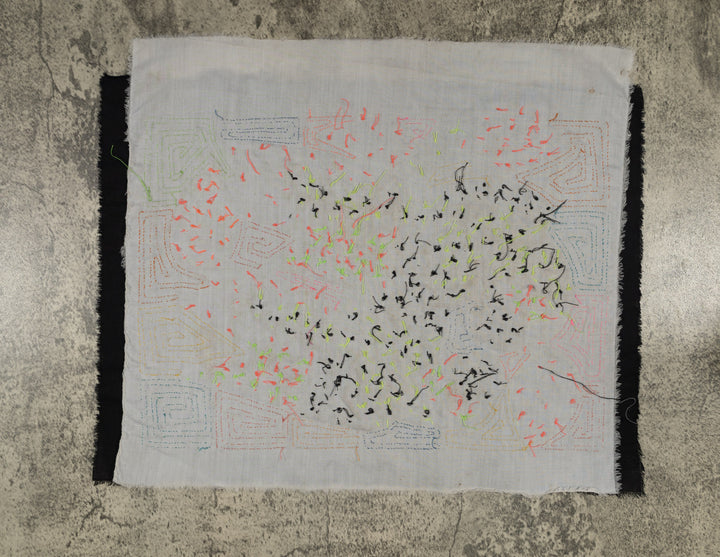 Tropical Macaws with Blue Wings Mola