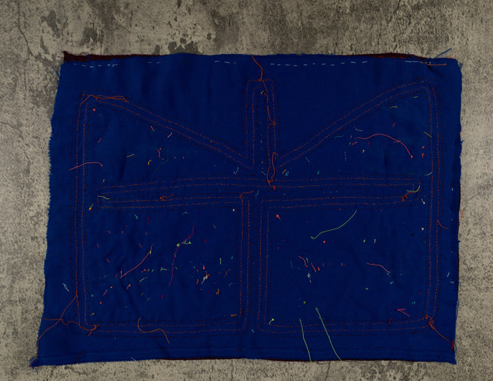 Burgundy And Blue Aquarium Fish Mola