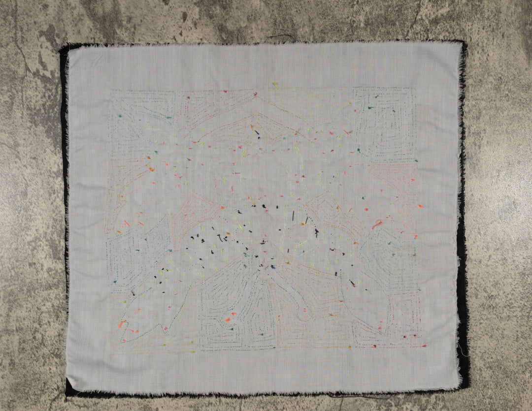 Fantasy Orange And Blue Parrot Bird Mola