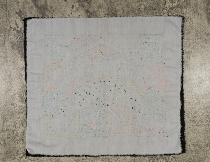 Fantasy Orange And Blue Parrot Bird Mola