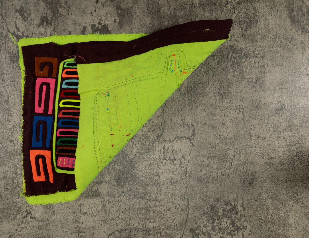 Classic Rainbow Colors Fancy Rainforest Bird Mola