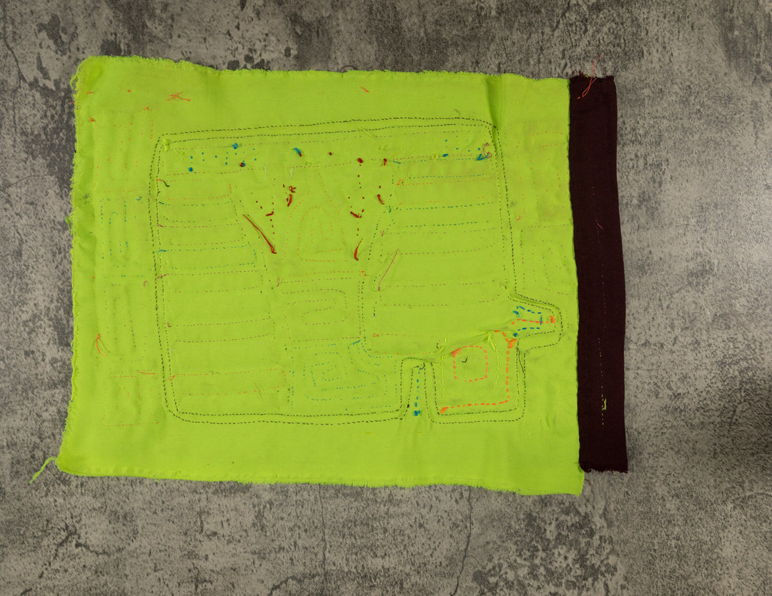 Classic Rainbow Colors Fancy Rainforest Bird Mola