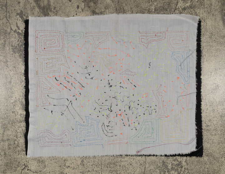 Fantasy Orange And Blue Parrot Bird Mola