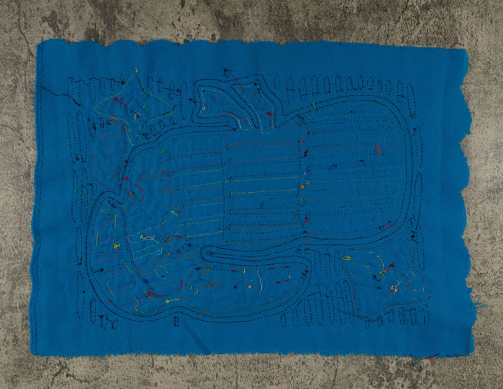 Maroon And Turquoise Jungle Bird Mola