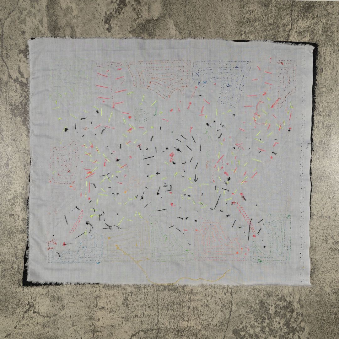 Fantasy Red Blue And Yellow Two Toucan Parrot Mola