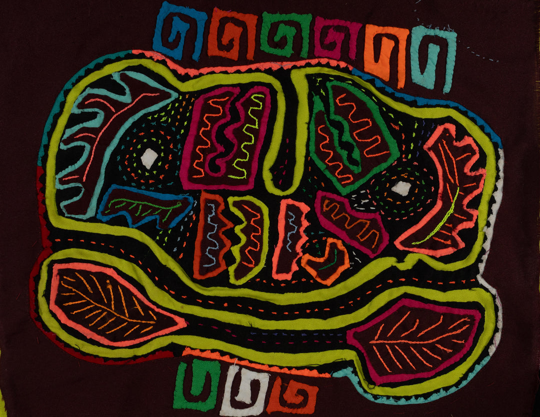 Rainbow Colors Jungle Parrot Bird Mola