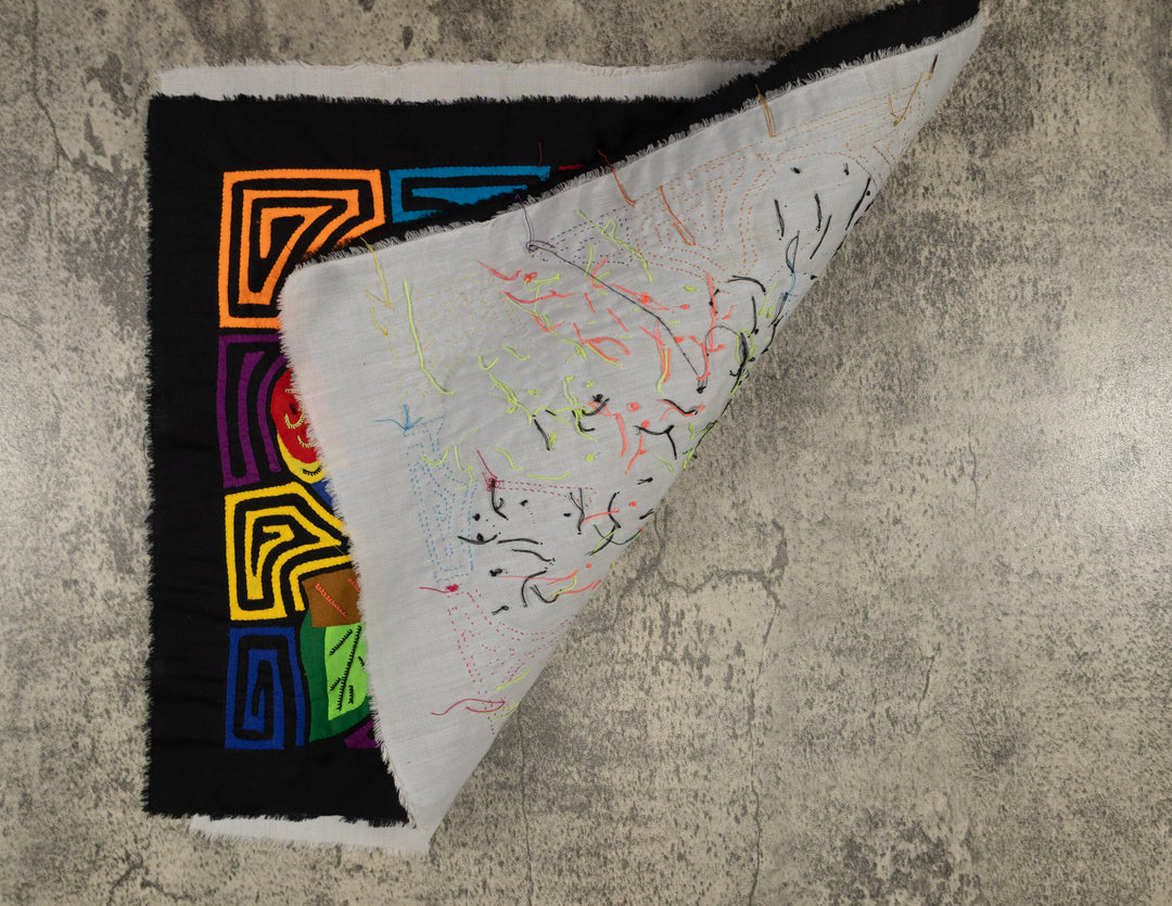 Fantasy Red Blue And Yellow Two Parrot Mola