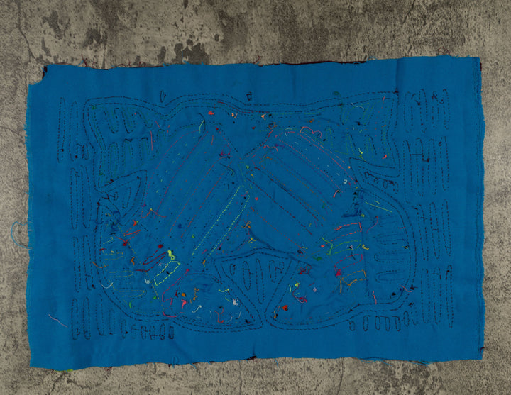 Maroon And Turquoise Jungle Bird Mola