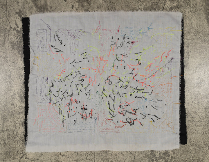 Fantasy Red Blue And Yellow Two Parrot Mola