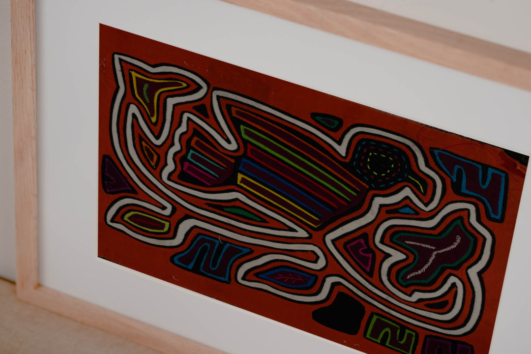 Classic Orange And White Rainforest Dove Bird Mola