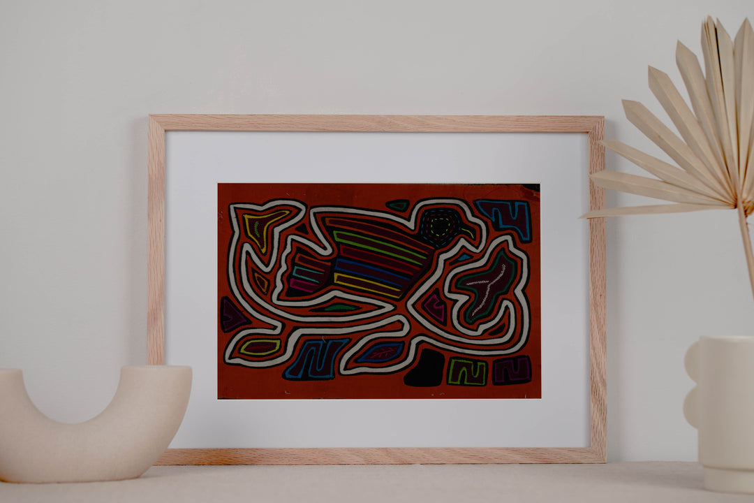 Classic Orange And White Rainforest Dove Bird Mola