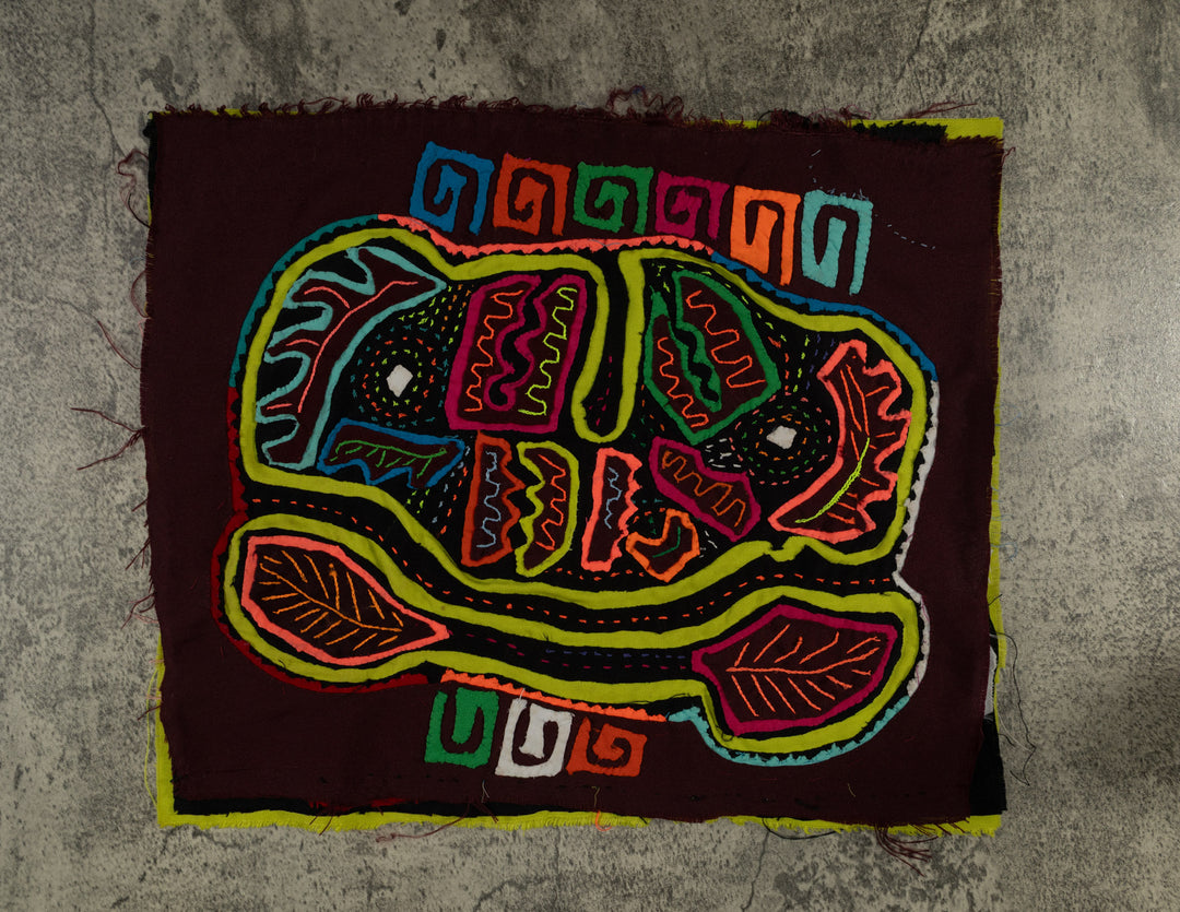 Rainbow Colors Jungle Parrot Bird Mola