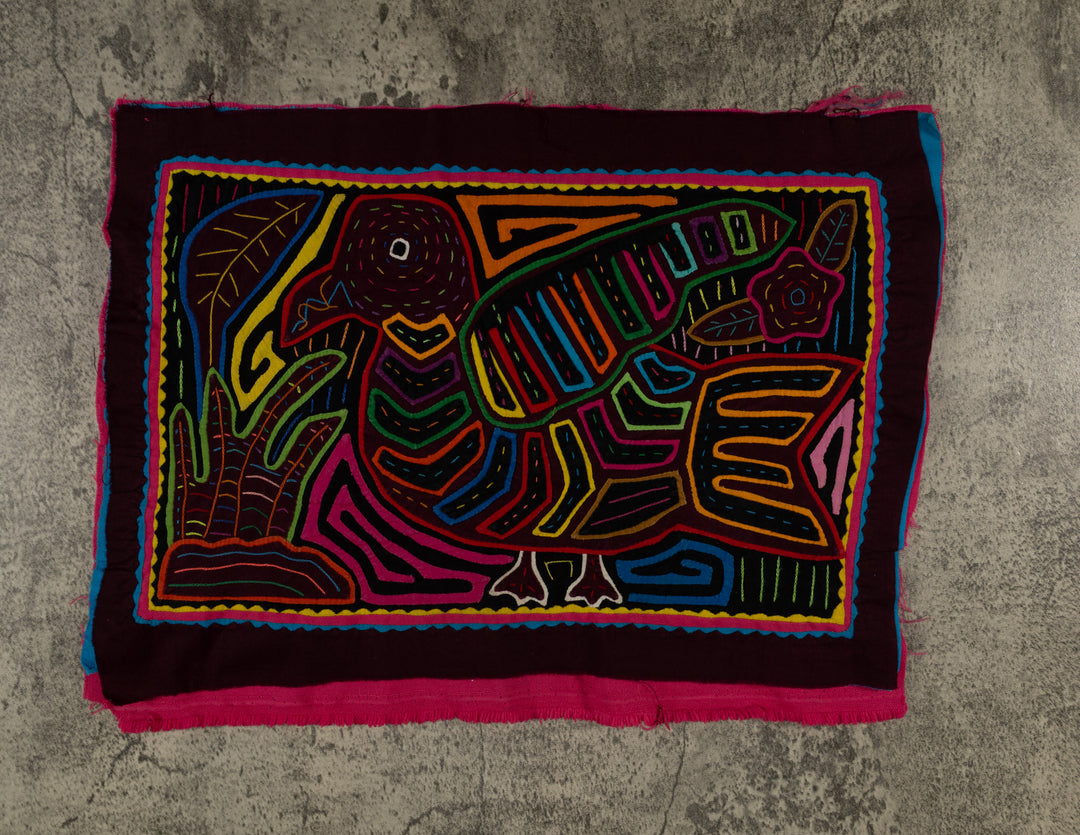 Rainbow Colors Pigeon Bird Of The Jungle Mola