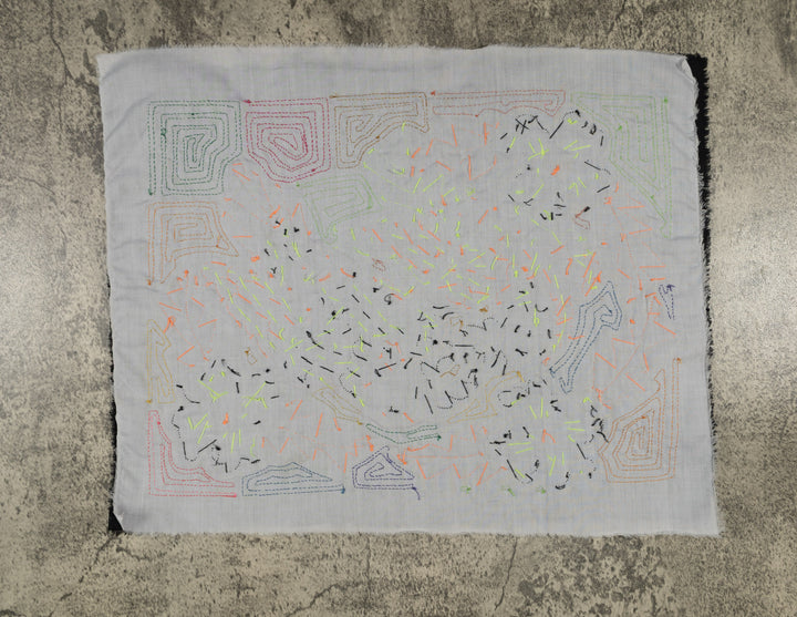 Orange And Blue Vibrant Parrot Pair and Flowers Mola