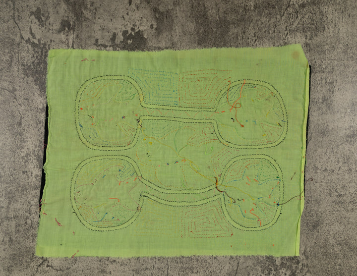 Rainbow Colors Fish Aquarium Mola