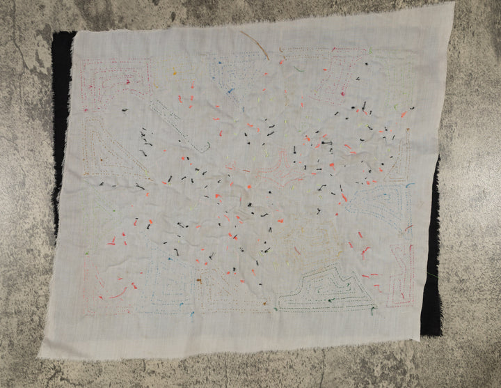 Fantasy Green And Yellow Two Parrot Mola