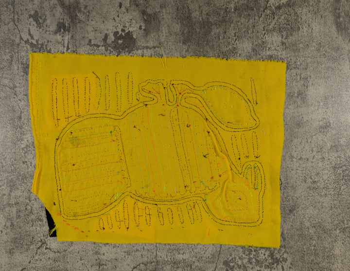 Rainbow Colors Partridge Jungle Bird Mola