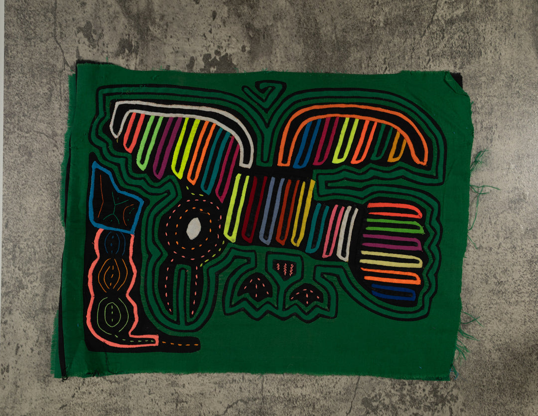 Classic Green Seagull Eyeing A Meal Mola