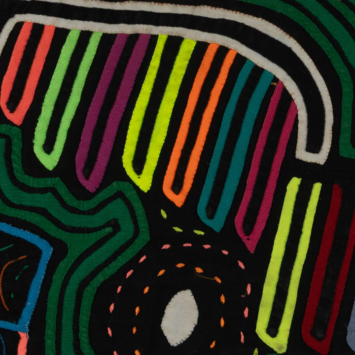 Classic Green Seagull Eyeing A Meal Mola