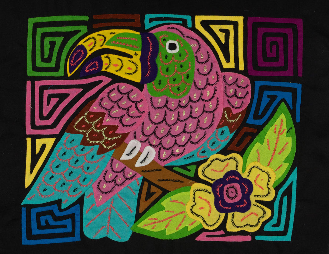 Pink Keel-billed Toucan Mola