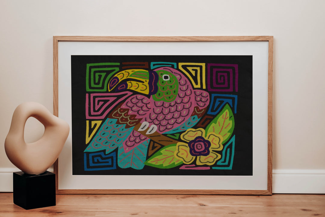 Pink Keel-billed Toucan Mola