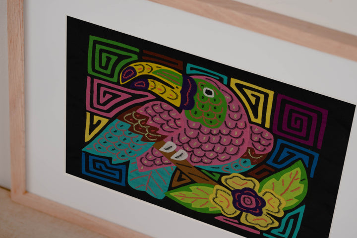 Pink Keel-billed Toucan Mola