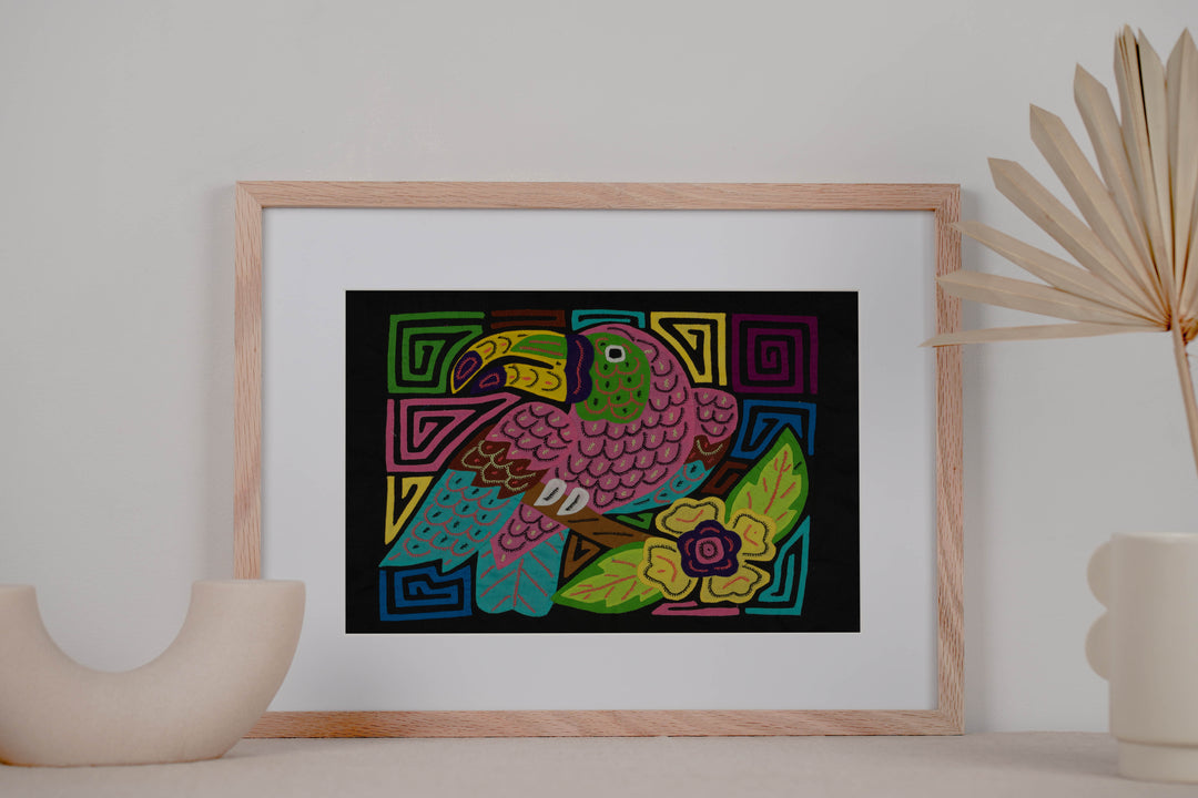 Pink Keel-billed Toucan Mola