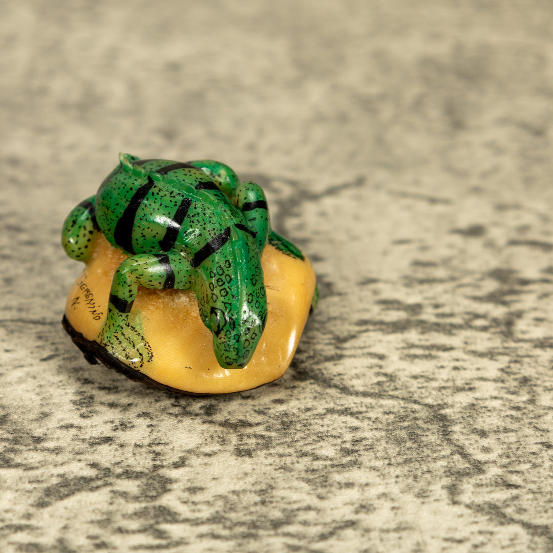 Green Iguana Lizard Tagua Nut Carving