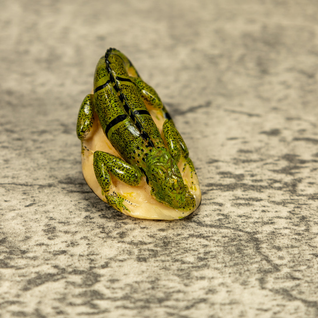 Green Iguana Lizard Tagua Nut Carving