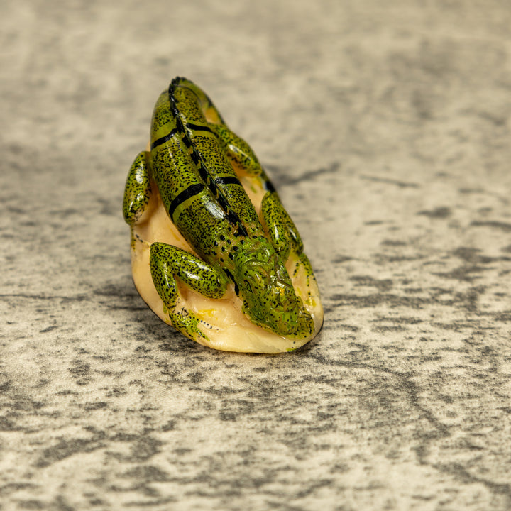 Green Iguana Lizard Tagua Nut Carving