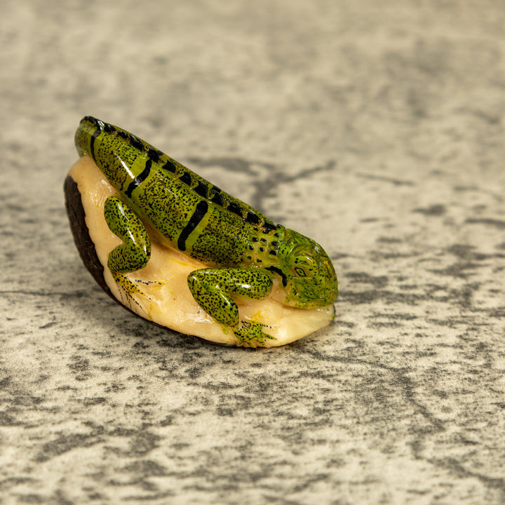 Green Iguana Lizard Tagua Nut Carving