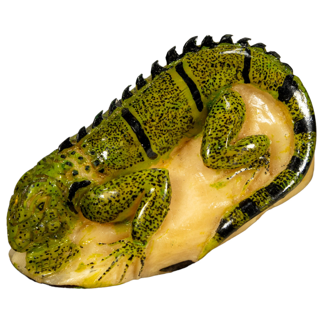 Green Iguana Lizard Tagua Nut Carving