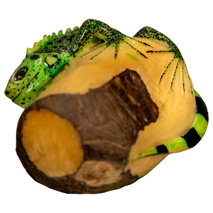 Green Iguana Lizard Tagua Nut Carving