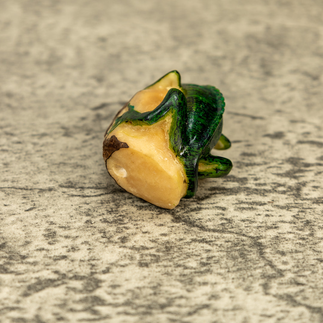 Green Iguana Lizard Tagua Nut Carving